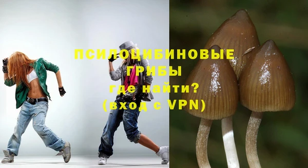 прущие крисы Билибино