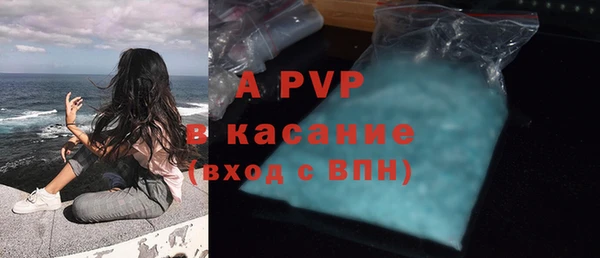прущие крисы Билибино