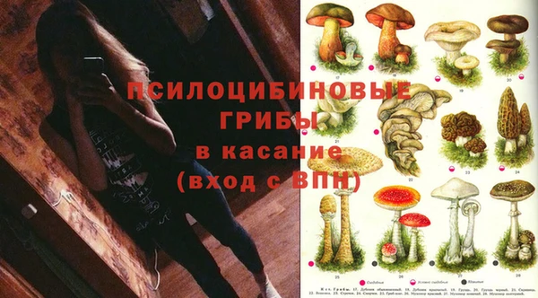 mdpv Беслан