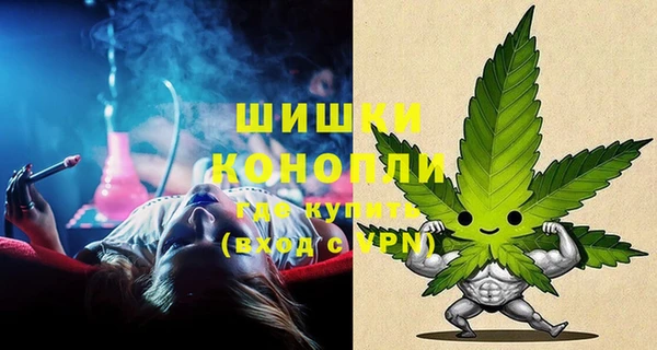 прущие крисы Билибино