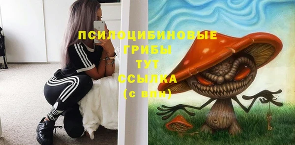 mdpv Беслан