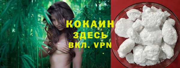 скорость Бикин