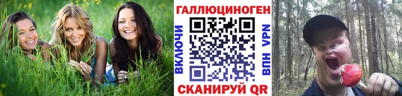 Псилоцибиновые грибы MAGIC MUSHROOMS  Катайск 